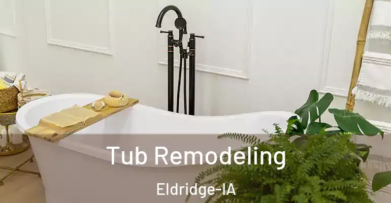 inner Bathroom imggen Tub Remodeling Eldridge-IA