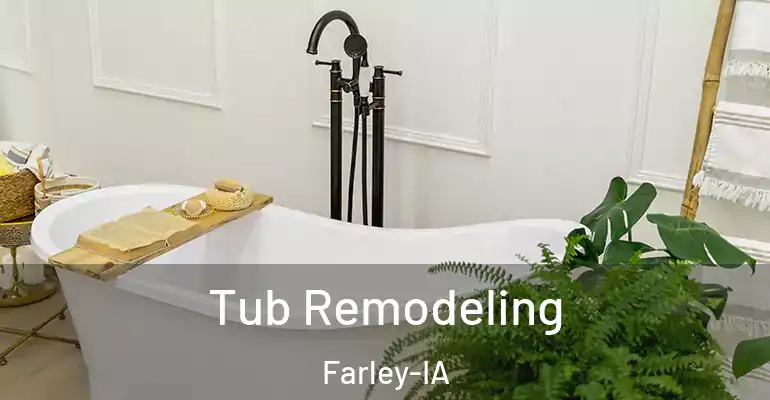 inner Bathroom imggen Tub Remodeling Farley-IA