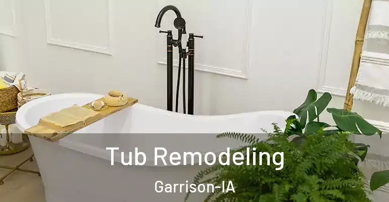 inner Bathroom imggen Tub Remodeling Garrison-IA