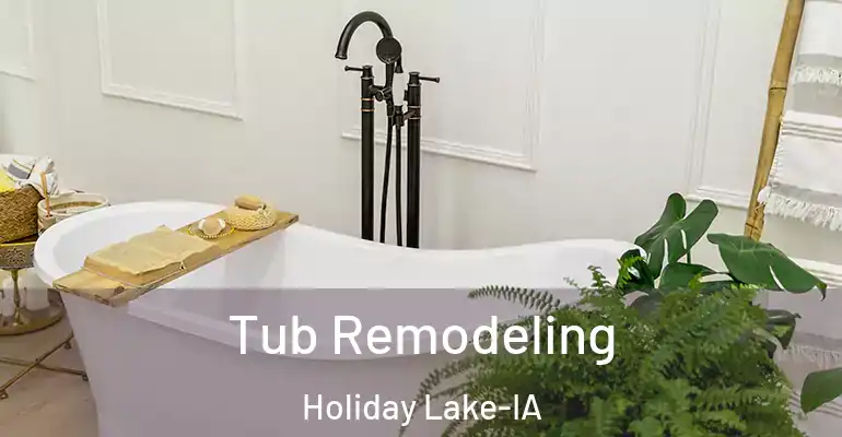 inner Bathroom imggen Tub Remodeling Holiday Lake-IA
