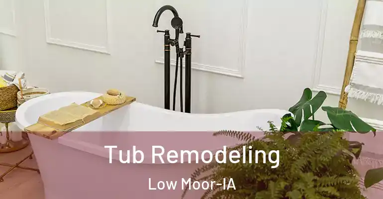 inner Bathroom imggen Tub Remodeling Low Moor-IA