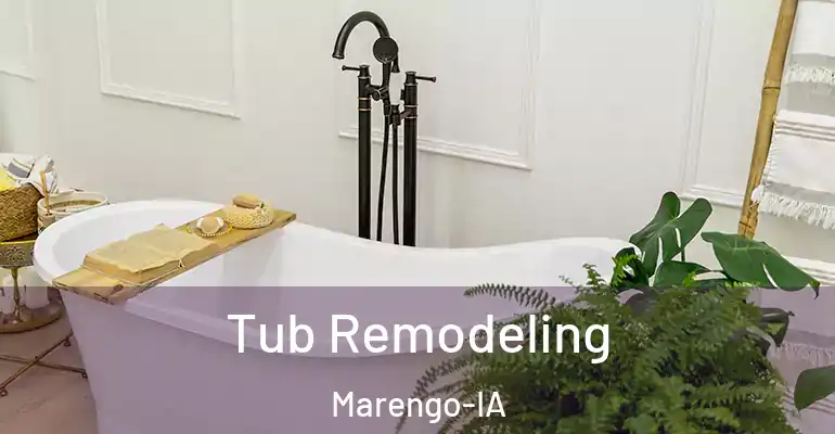 inner Bathroom imggen Tub Remodeling Marengo-IA