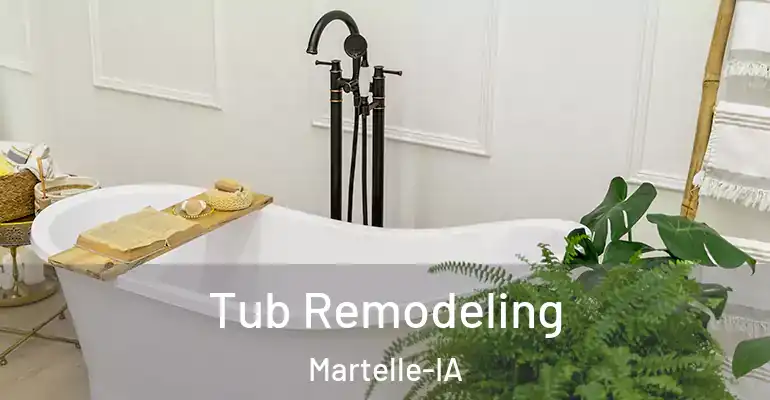 inner Bathroom imggen Tub Remodeling Martelle-IA