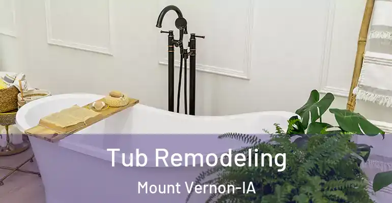 inner Bathroom imggen Tub Remodeling Mount Vernon-IA