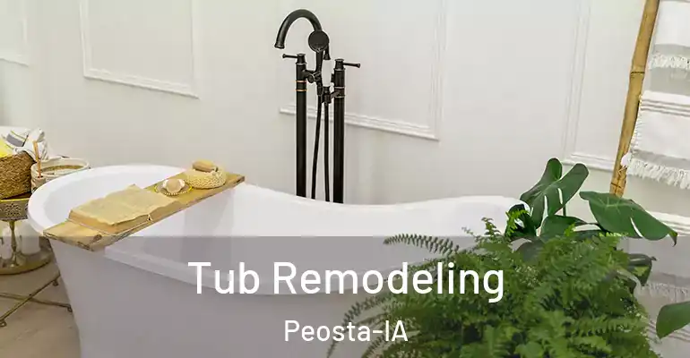 inner Bathroom imggen Tub Remodeling Peosta-IA