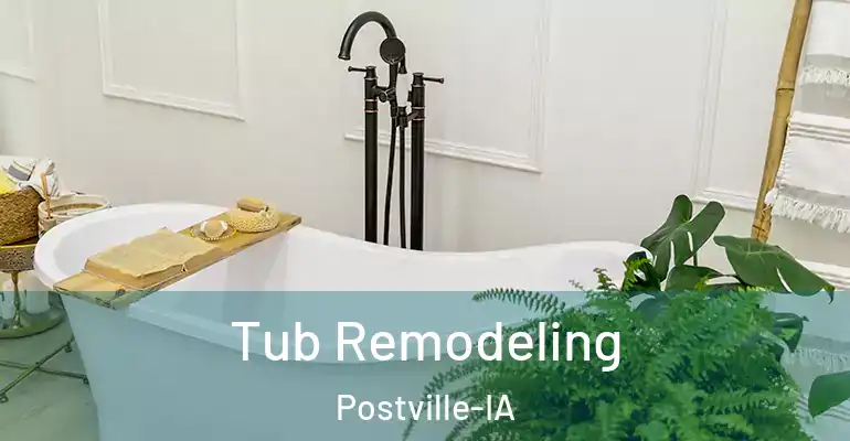 inner Bathroom imggen Tub Remodeling Postville-IA