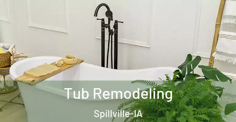 inner Bathroom imggen Tub Remodeling Spillville-IA