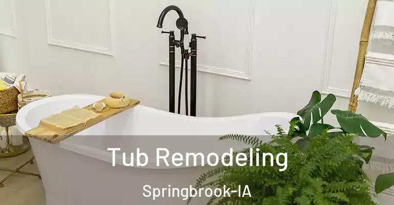 inner Bathroom imggen Tub Remodeling Springbrook-IA