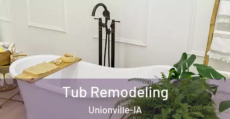 inner Bathroom imggen Tub Remodeling Unionville-IA