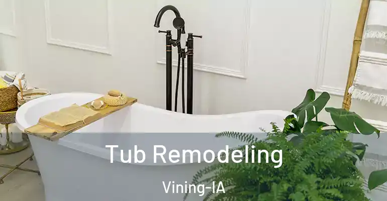 inner Bathroom imggen Tub Remodeling Vining-IA