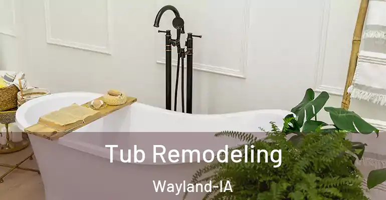 inner Bathroom imggen Tub Remodeling Wayland-IA