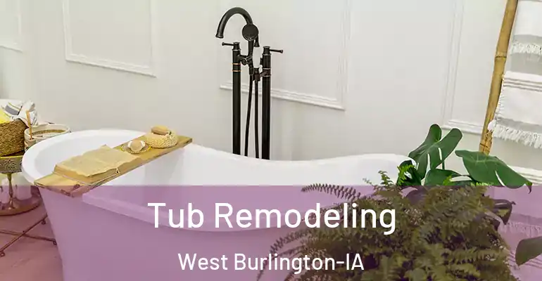 inner Bathroom imggen Tub Remodeling West Burlington-IA