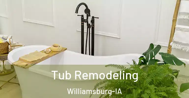inner Bathroom imggen Tub Remodeling Williamsburg-IA