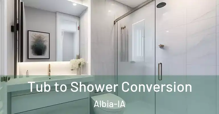 inner Bathroom imggen Tub to Shower Conversion Albia-IA