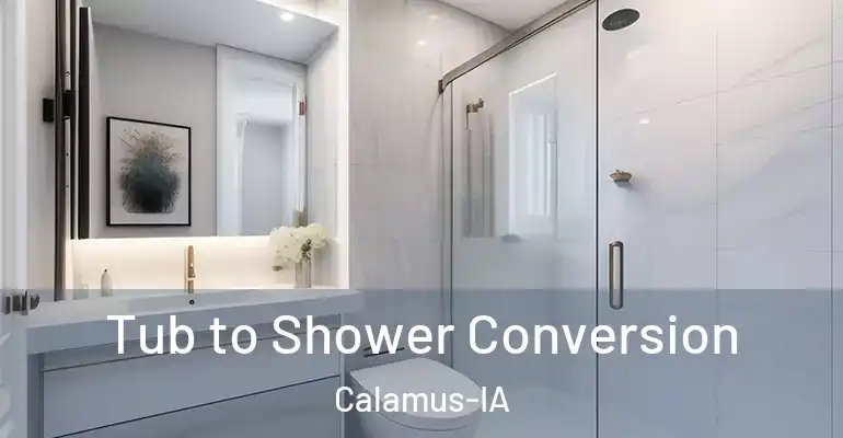 inner Bathroom imggen Tub to Shower Conversion Calamus-IA