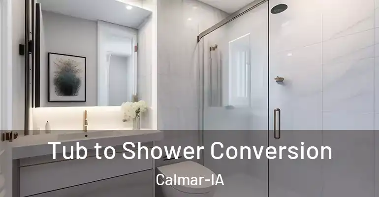 inner Bathroom imggen Tub to Shower Conversion Calmar-IA