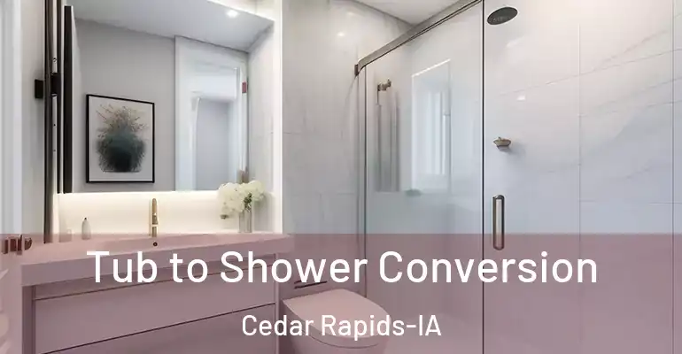 inner Bathroom imggen Tub to Shower Conversion Cedar Rapids-IA