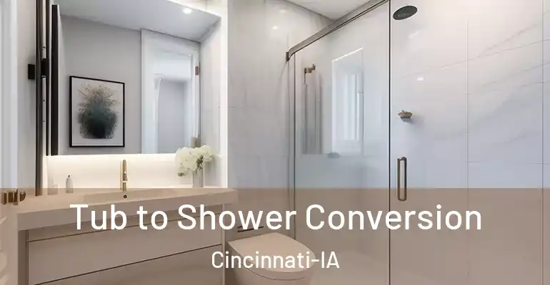 inner Bathroom imggen Tub to Shower Conversion Cincinnati-IA