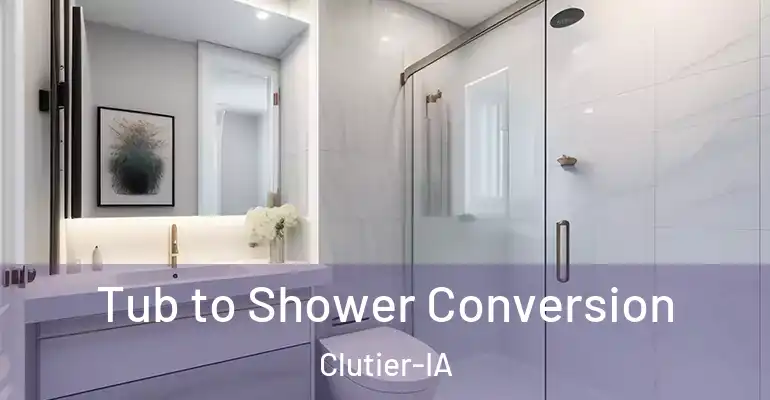 inner Bathroom imggen Tub to Shower Conversion Clutier-IA