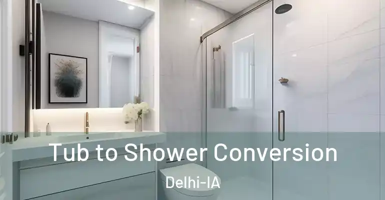 inner Bathroom imggen Tub to Shower Conversion Delhi-IA