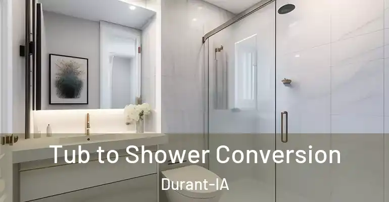 inner Bathroom imggen Tub to Shower Conversion Durant-IA