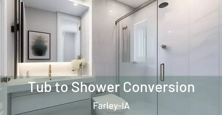 inner Bathroom imggen Tub to Shower Conversion Farley-IA