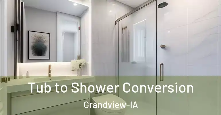 inner Bathroom imggen Tub to Shower Conversion Grandview-IA