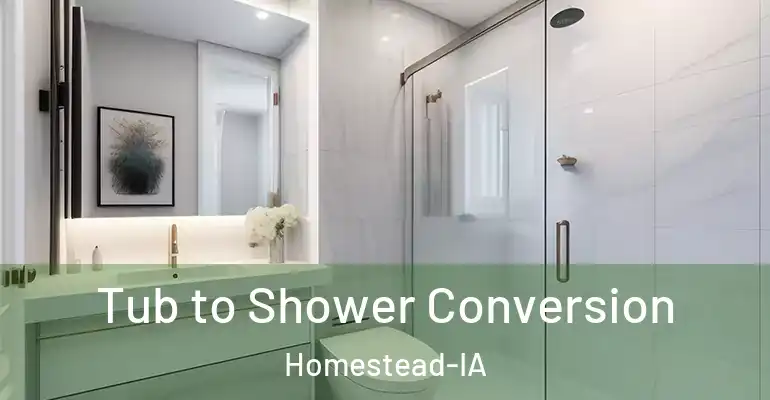 inner Bathroom imggen Tub to Shower Conversion Homestead-IA