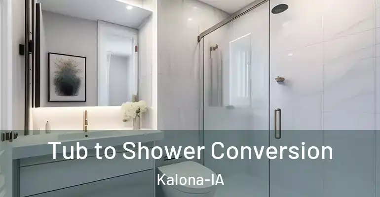 inner Bathroom imggen Tub to Shower Conversion Kalona-IA