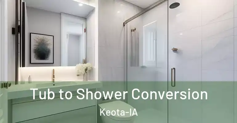 inner Bathroom imggen Tub to Shower Conversion Keota-IA