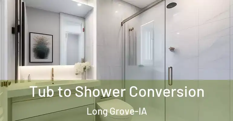 inner Bathroom imggen Tub to Shower Conversion Long Grove-IA