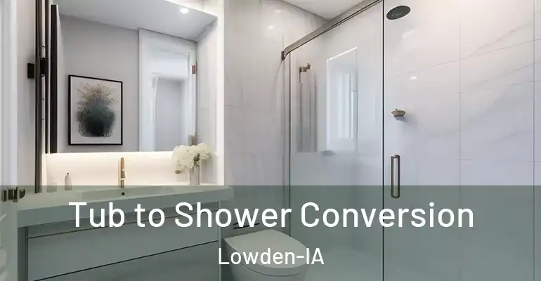 inner Bathroom imggen Tub to Shower Conversion Lowden-IA