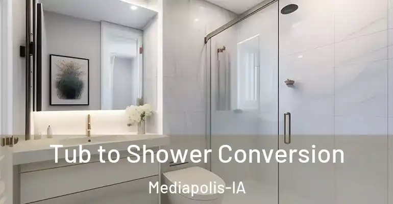 inner Bathroom imggen Tub to Shower Conversion Mediapolis-IA
