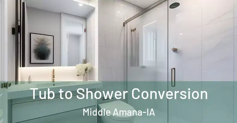 inner Bathroom imggen Tub to Shower Conversion Middle Amana-IA