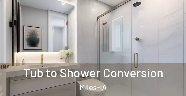 inner Bathroom imggen Tub to Shower Conversion Miles-IA