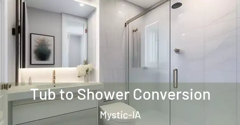 inner Bathroom imggen Tub to Shower Conversion Mystic-IA