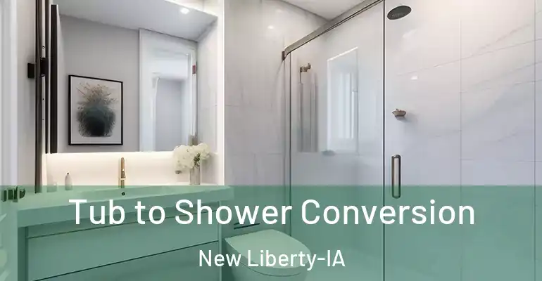 inner Bathroom imggen Tub to Shower Conversion New Liberty-IA