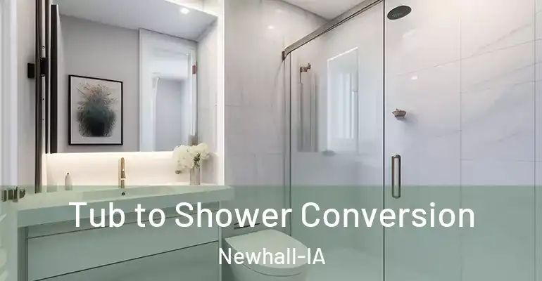 inner Bathroom imggen Tub to Shower Conversion Newhall-IA