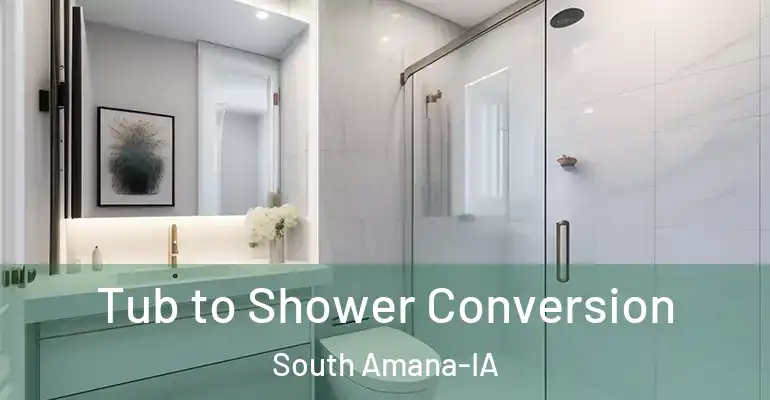inner Bathroom imggen Tub to Shower Conversion South Amana-IA