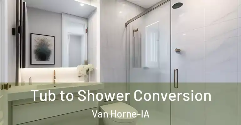 inner Bathroom imggen Tub to Shower Conversion Van Horne-IA