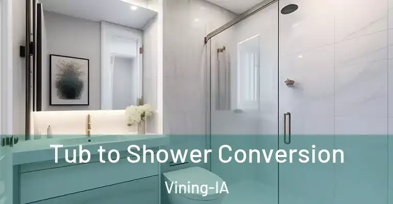 inner Bathroom imggen Tub to Shower Conversion Vining-IA
