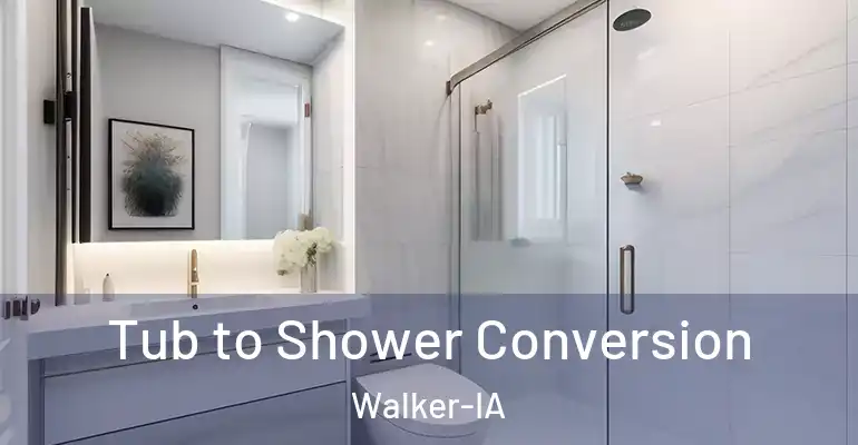 inner Bathroom imggen Tub to Shower Conversion Walker-IA