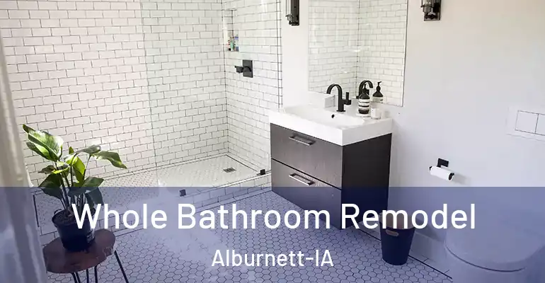 inner Bathroom imggen Whole Bathroom Remodel Alburnett-IA