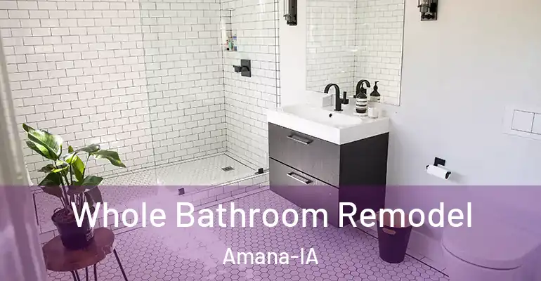 inner Bathroom imggen Whole Bathroom Remodel Amana-IA