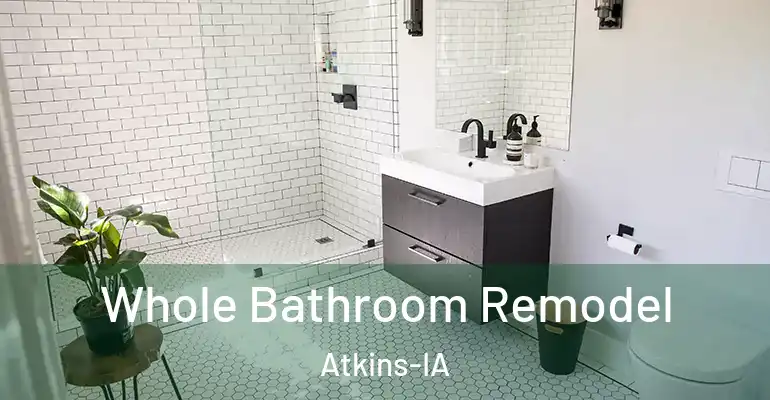 inner Bathroom imggen Whole Bathroom Remodel Atkins-IA