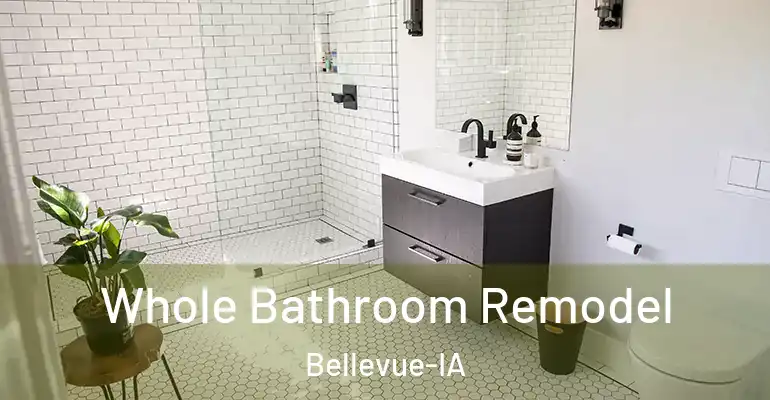 inner Bathroom imggen Whole Bathroom Remodel Bellevue-IA