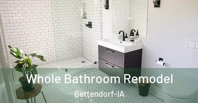 inner Bathroom imggen Whole Bathroom Remodel Bettendorf-IA