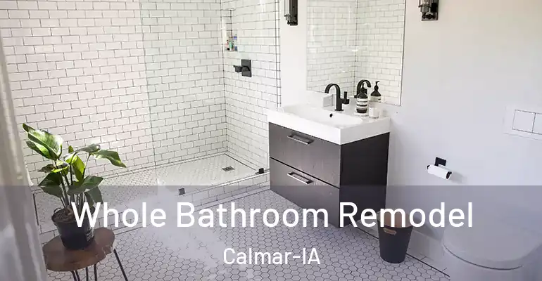 inner Bathroom imggen Whole Bathroom Remodel Calmar-IA