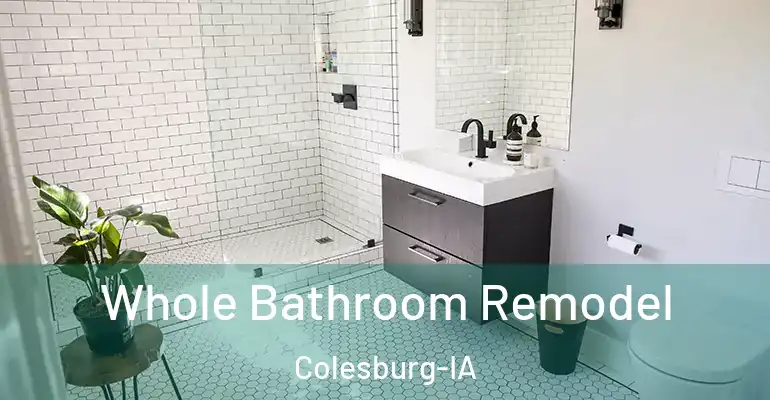 inner Bathroom imggen Whole Bathroom Remodel Colesburg-IA