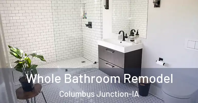 inner Bathroom imggen Whole Bathroom Remodel Columbus Junction-IA